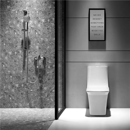 解决卫生间的终极难题，箭牌卫浴一步搞定